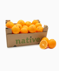 Bio Box Arance Navel da tavola