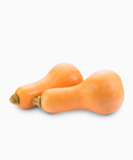 Zucca Butternut - Native