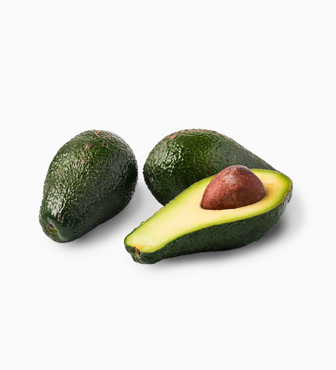 Avocado - Native