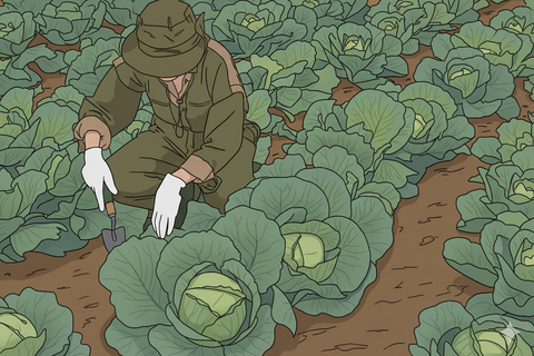 Portiamo a casa tua la campagna più vera, quella dei piccoli produttori locali