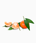 Clementine - Native