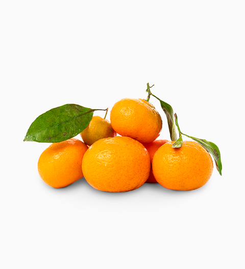 Mandarino Tardivo di Ciaculli - Native